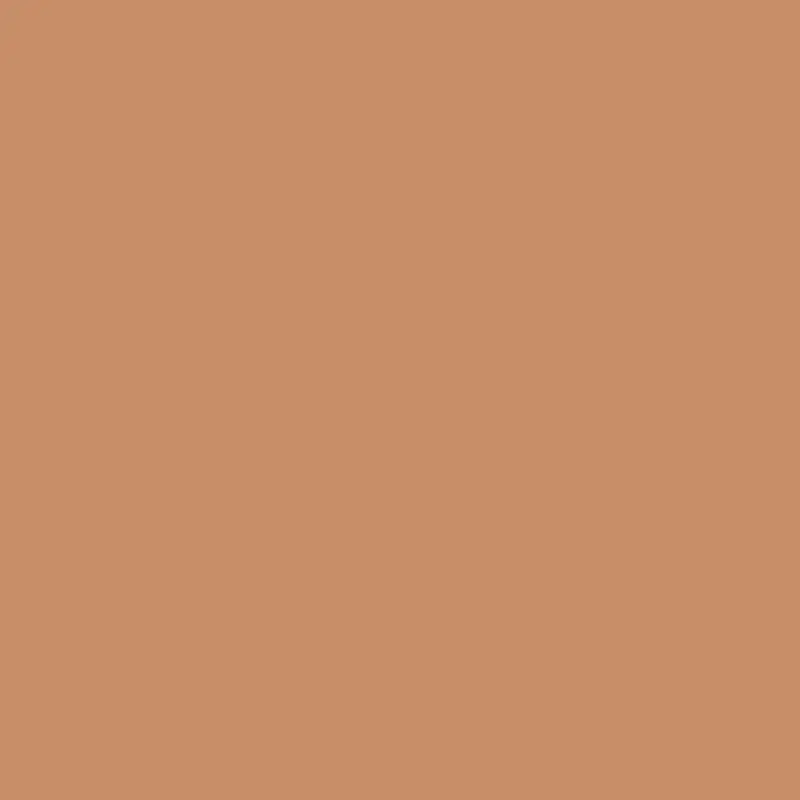 Farbpunkt von 09 - Beige Hope