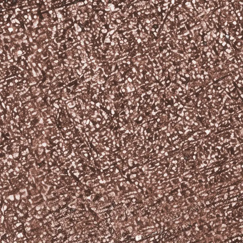 Farbpunkt von 40 - Bronzing Dream