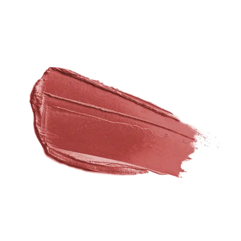 COLOR & SHINE LIP STYLO | 10 - Almond Rose