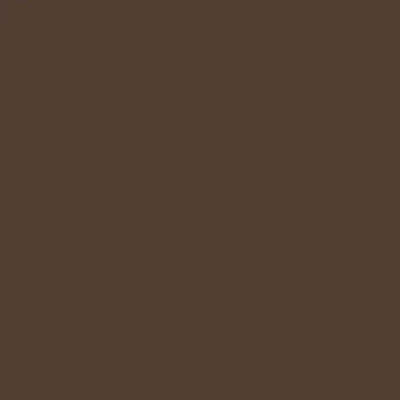Farbpunkt von 06 - Dark Oak